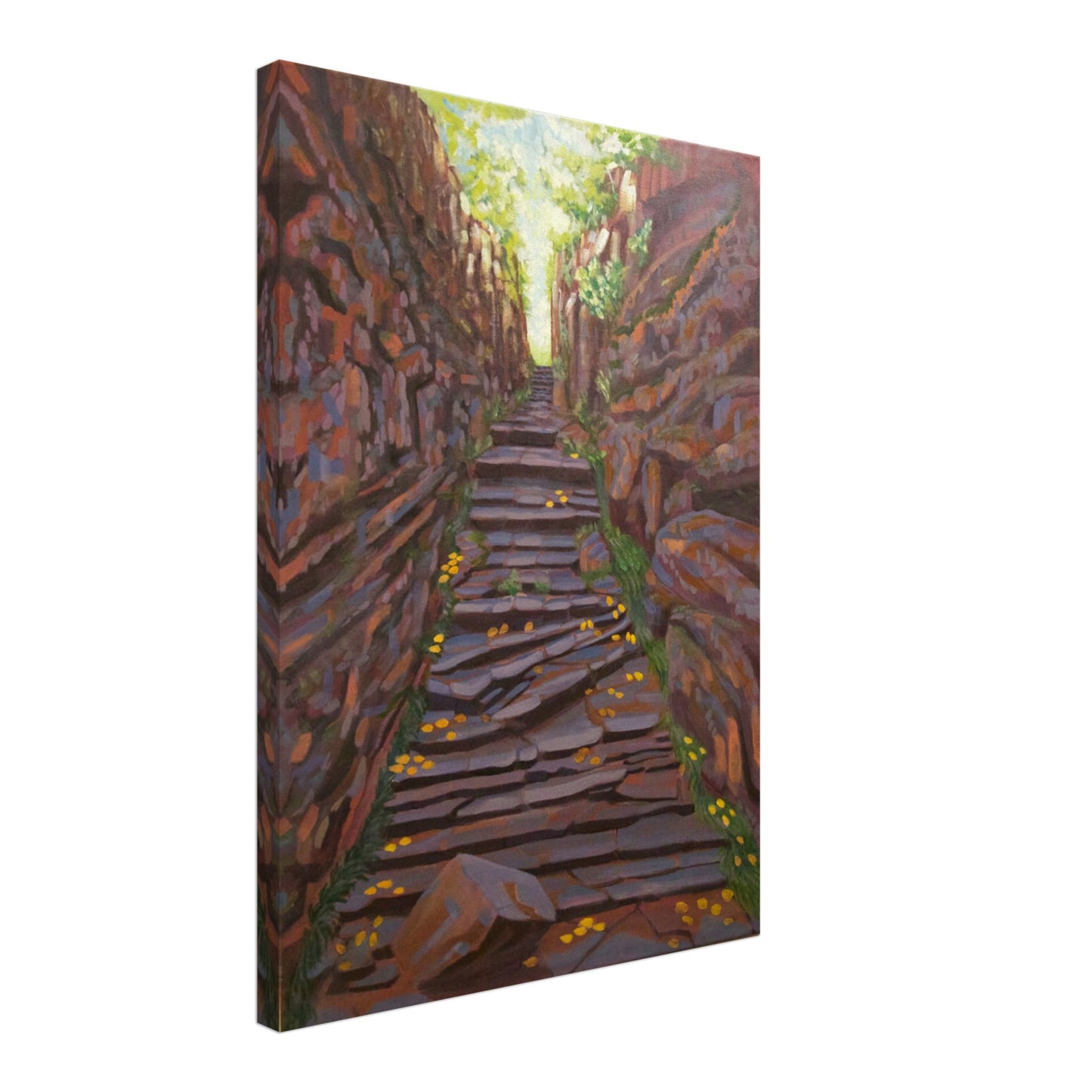 7001d27a-c379-451c-818b-6d38f3494171