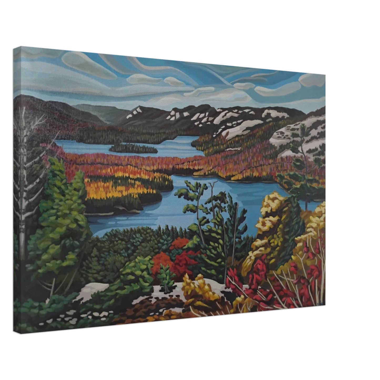 7b104013-eaa1-491b-8097-98ee7211d967