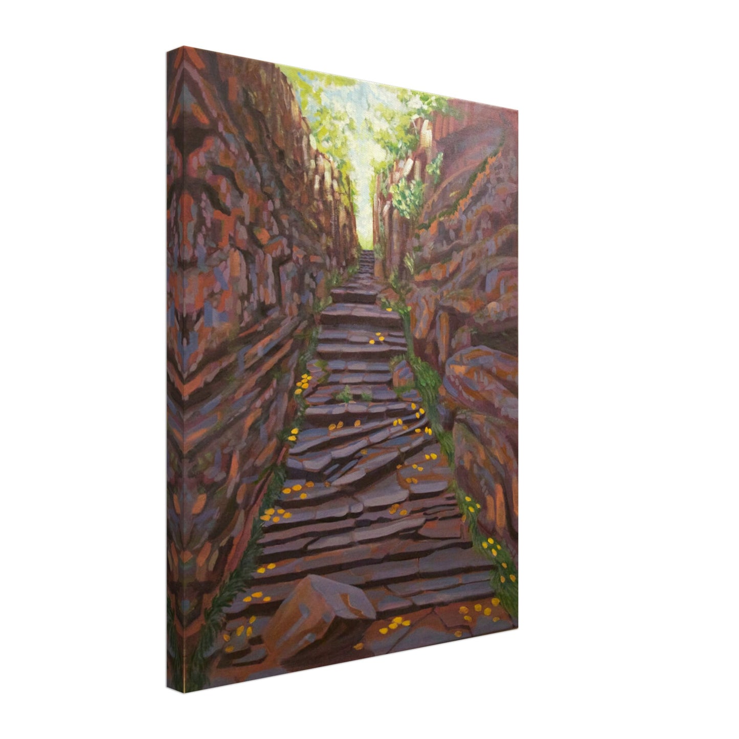 87d273da-8b9a-4617-a9e9-f89bb3b47f53