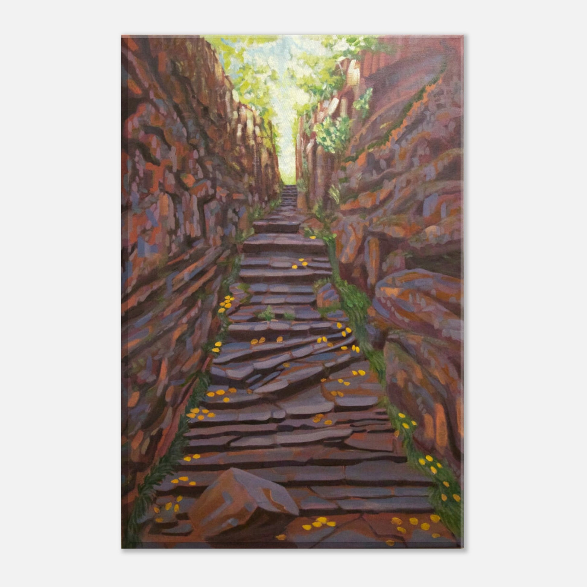 a9f3d735-246b-4ca8-89ce-e0d366a41ff9