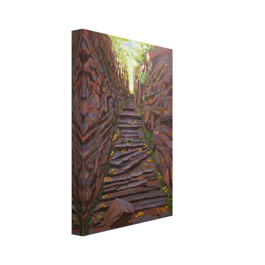 c369299d-6429-48ef-8886-940bbeec777e